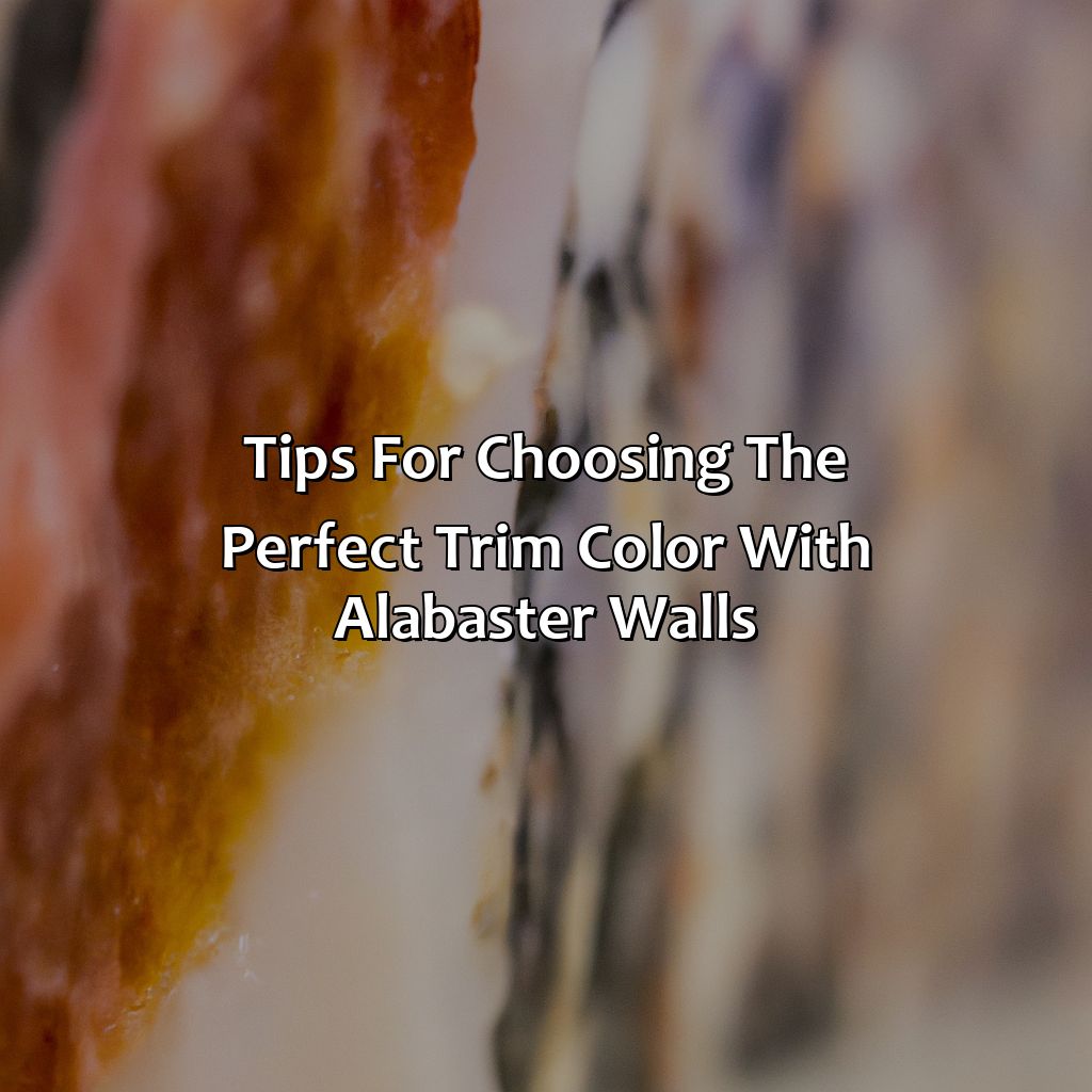 Tips For Choosing The Perfect Trim Color With Alabaster Walls  - What Color Trim With Alabaster Walls, 