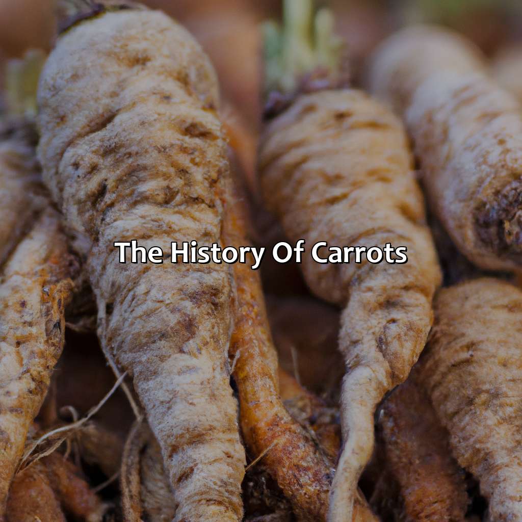The History Of Carrots  - What Color Were Carrots Originally, 