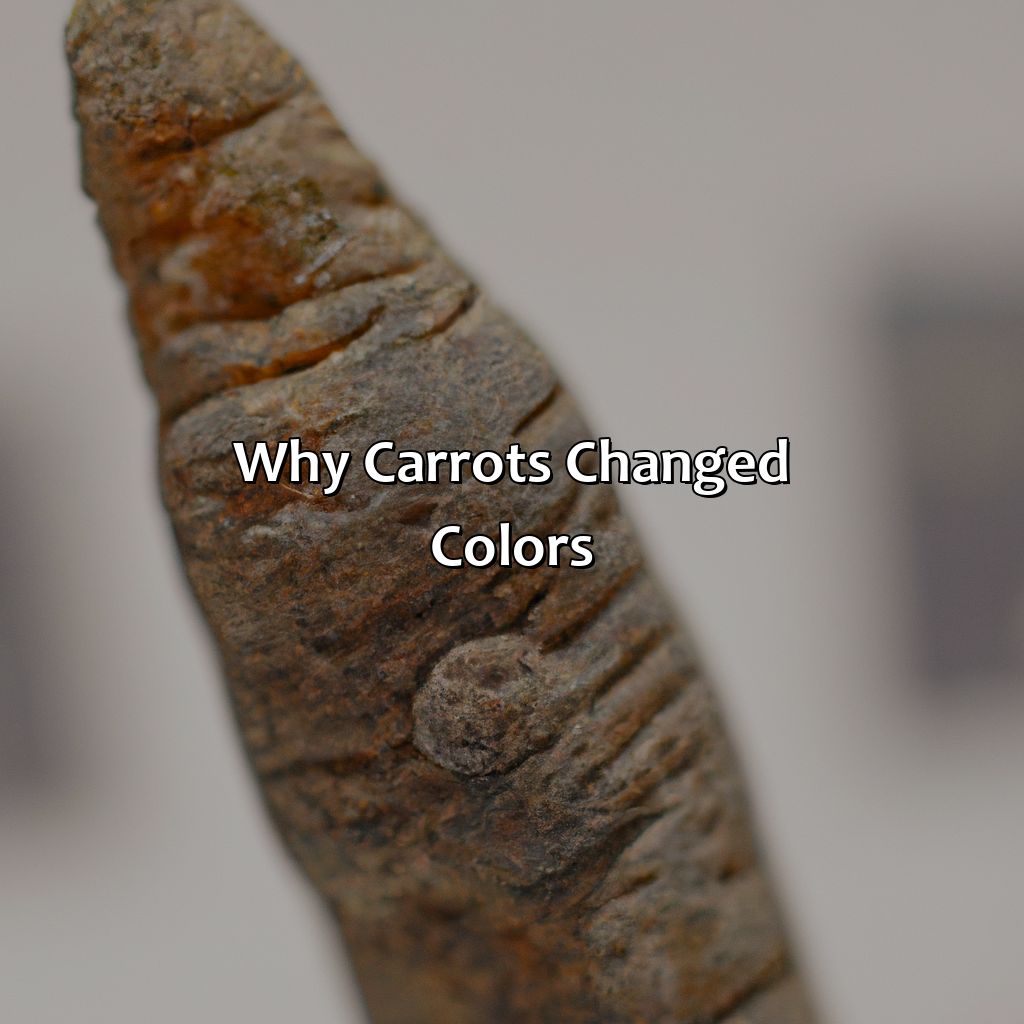 Why Carrots Changed Colors  - What Color Were Carrots Originally, 
