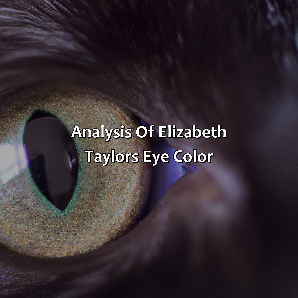 Analysis Of Elizabeth Taylor