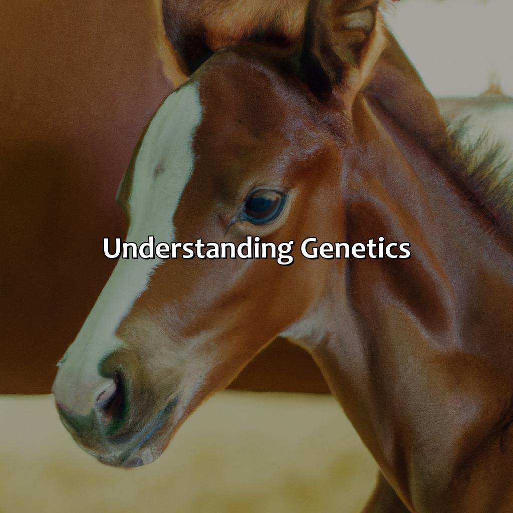 Understanding Genetics  - What Color Will My Foal Be, 