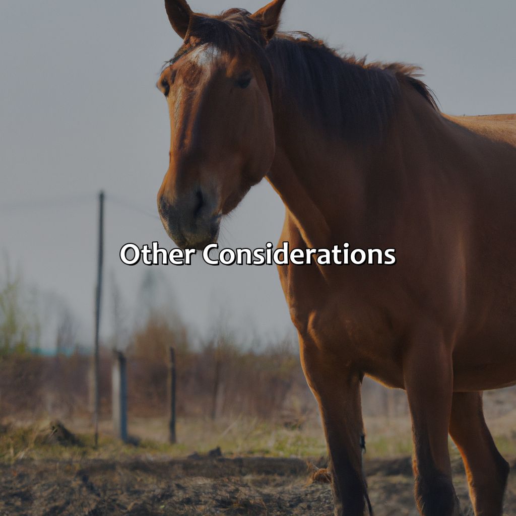 Other Considerations  - What Color Will My Foal Be, 