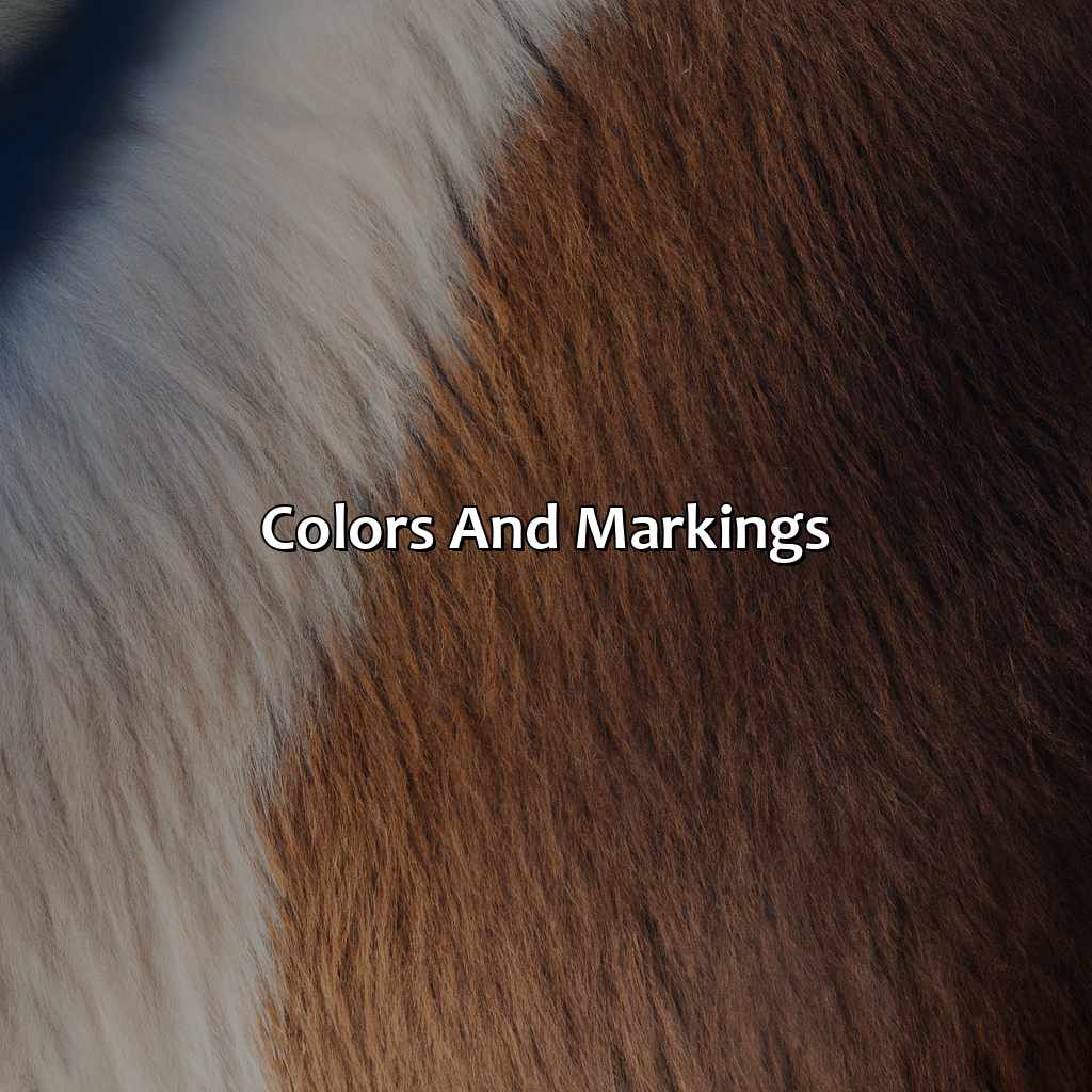 Colors And Markings  - What Color Will My Foal Be, 