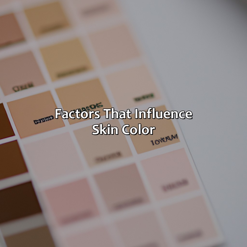 Factors That Influence Skin Color  - What Color Would I Be, 