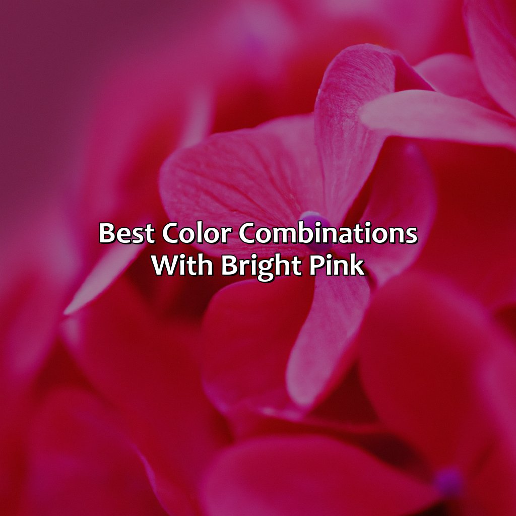 Best Color Combinations With Bright Pink  - What Colors Go With Bright Pink, 