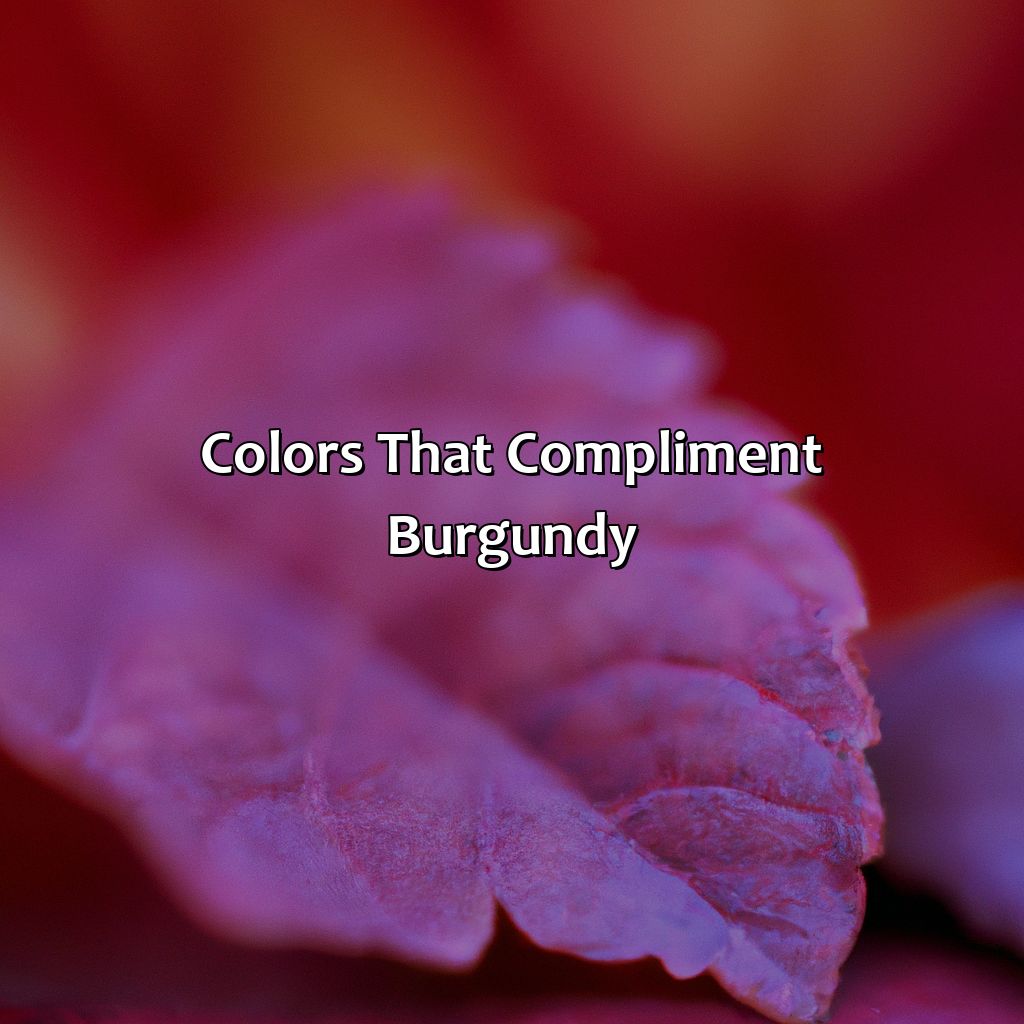 Colors That Compliment Burgundy  - What Colors Go With Burgandy, 