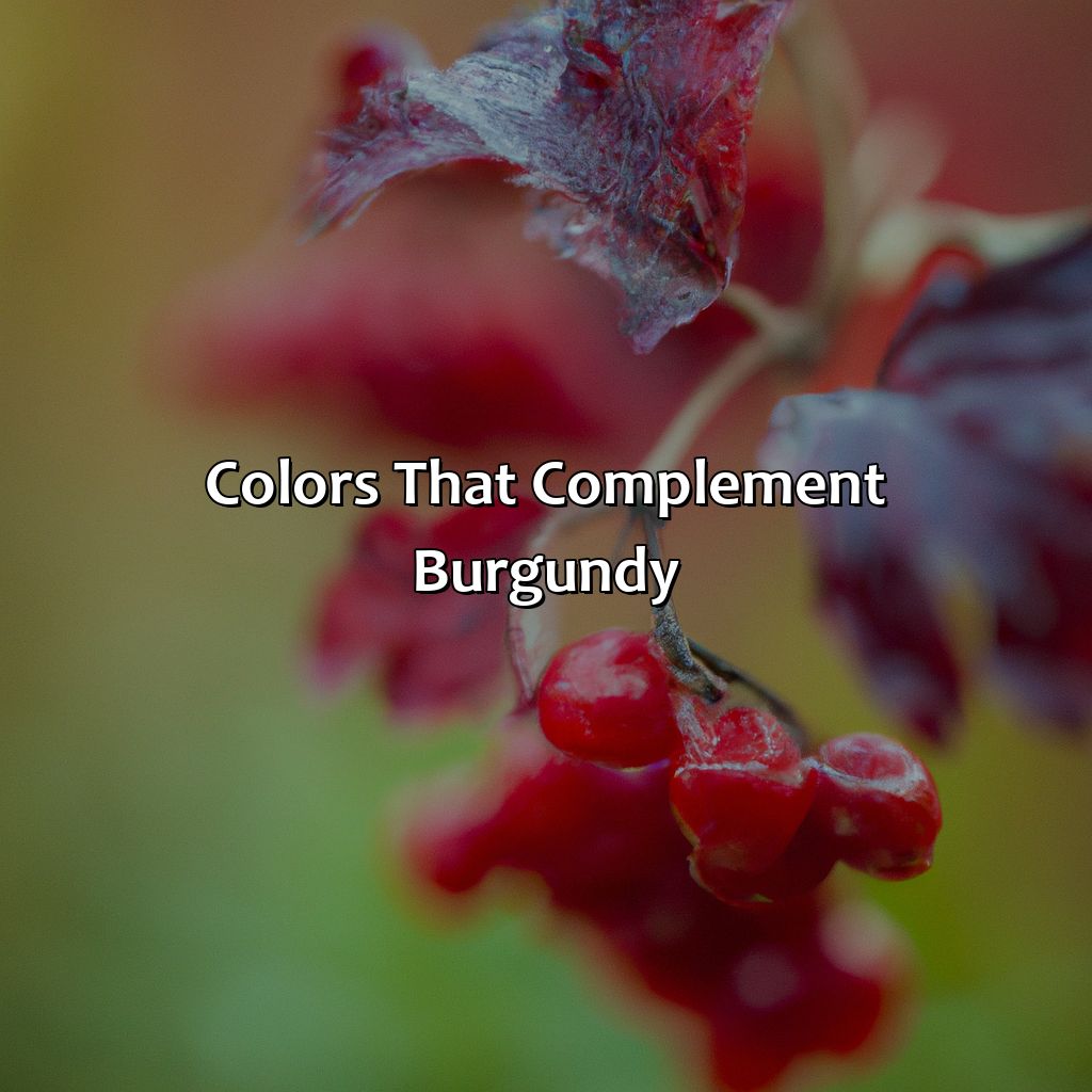 Colors That Complement Burgundy  - What Colors Go With Burgundy, 