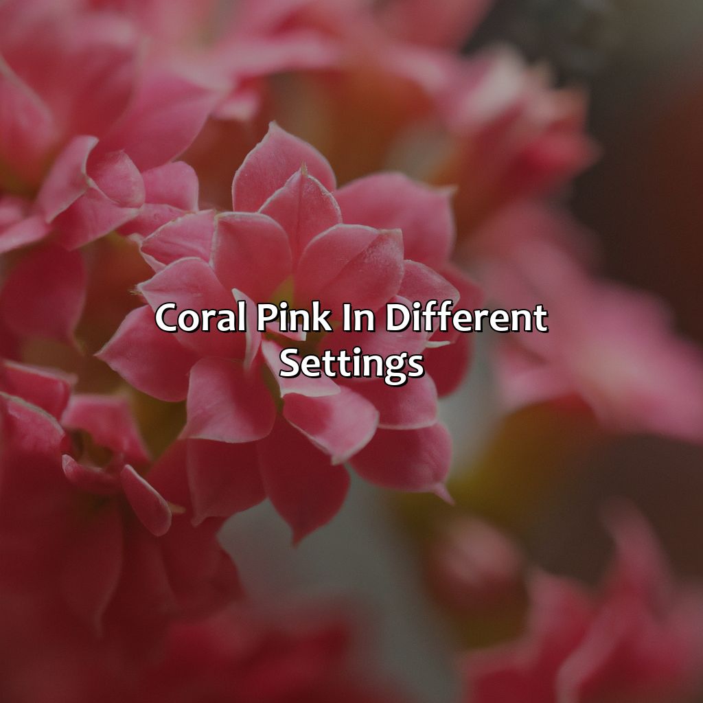 Coral Pink In Different Settings  - What Colors Go With Coral Pink, 