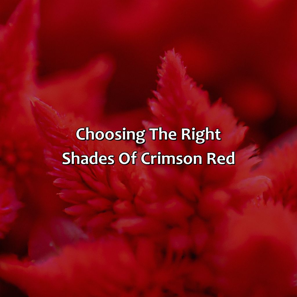 Choosing The Right Shades Of Crimson Red  - What Colors Go With Crimson Red, 