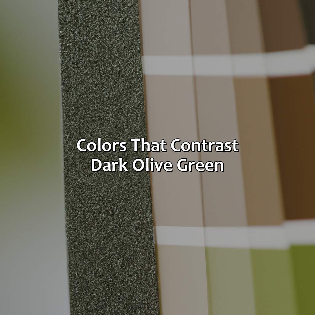 Colors That Contrast Dark Olive Green  - What Colors Go With Dark Olive Green, 