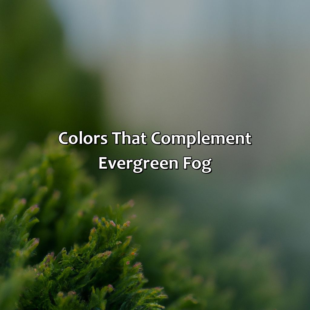 Colors That Complement Evergreen Fog - What Colors Go With Evergreen Fog, 