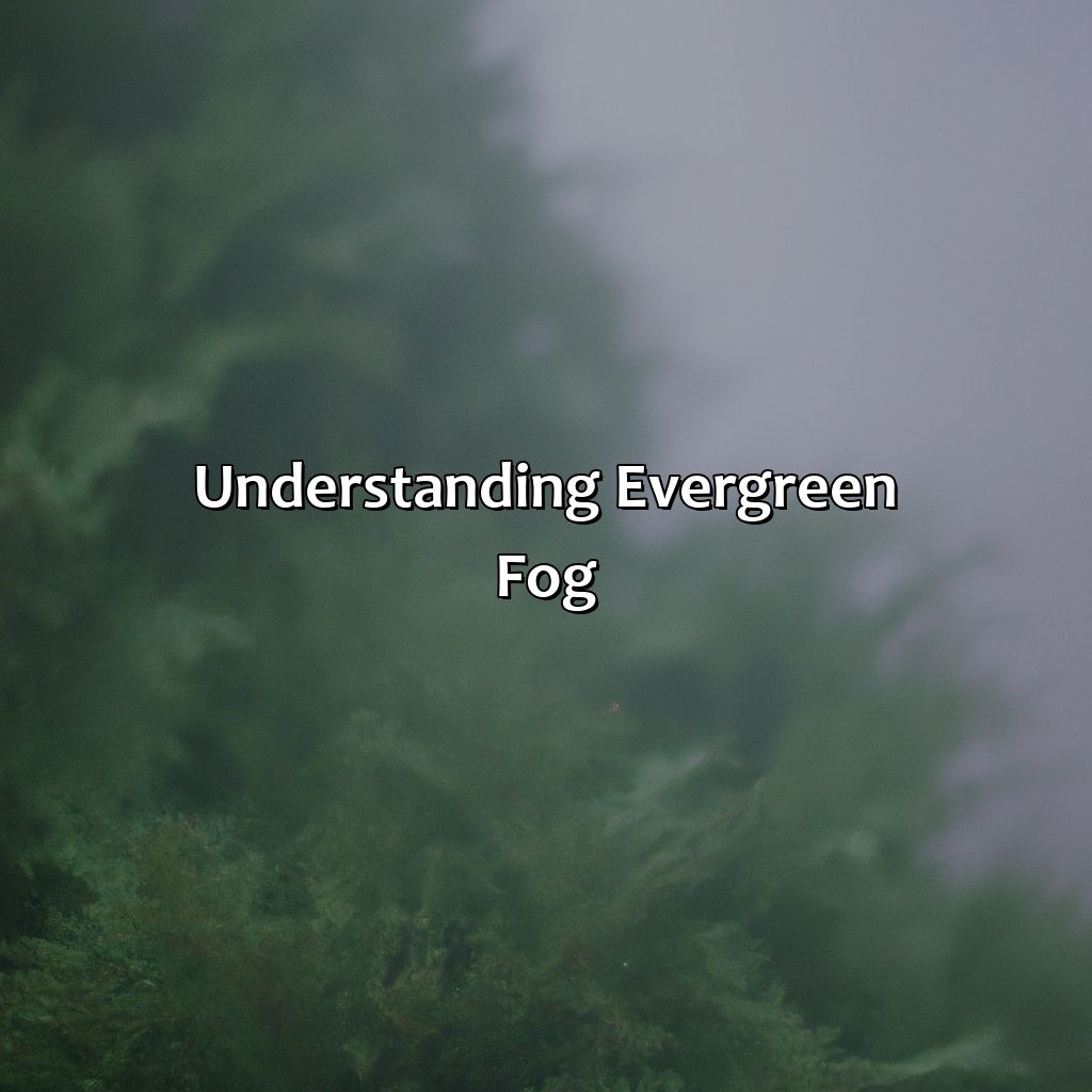 Understanding Evergreen Fog - What Colors Go With Evergreen Fog, 