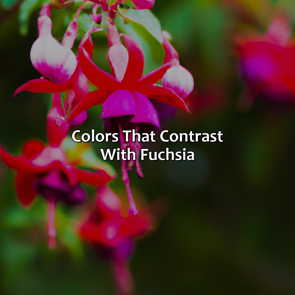 Colors That Contrast With Fuchsia  - What Colors Go With Fuchsia, 