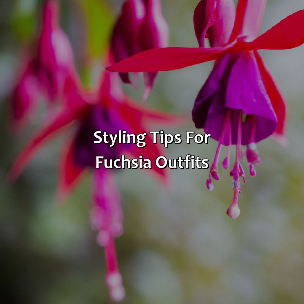Styling Tips For Fuchsia Outfits  - What Colors Go With Fuchsia, 