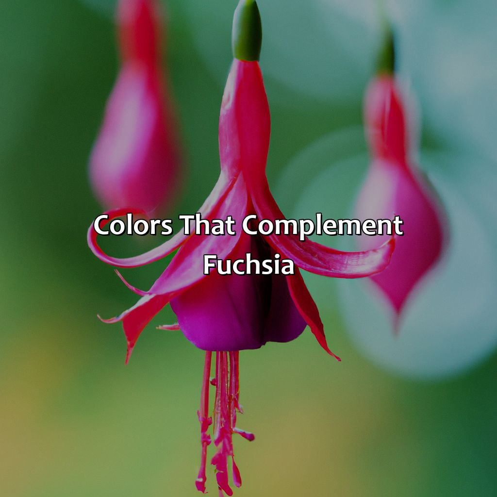 Colors That Complement Fuchsia  - What Colors Go With Fuchsia, 