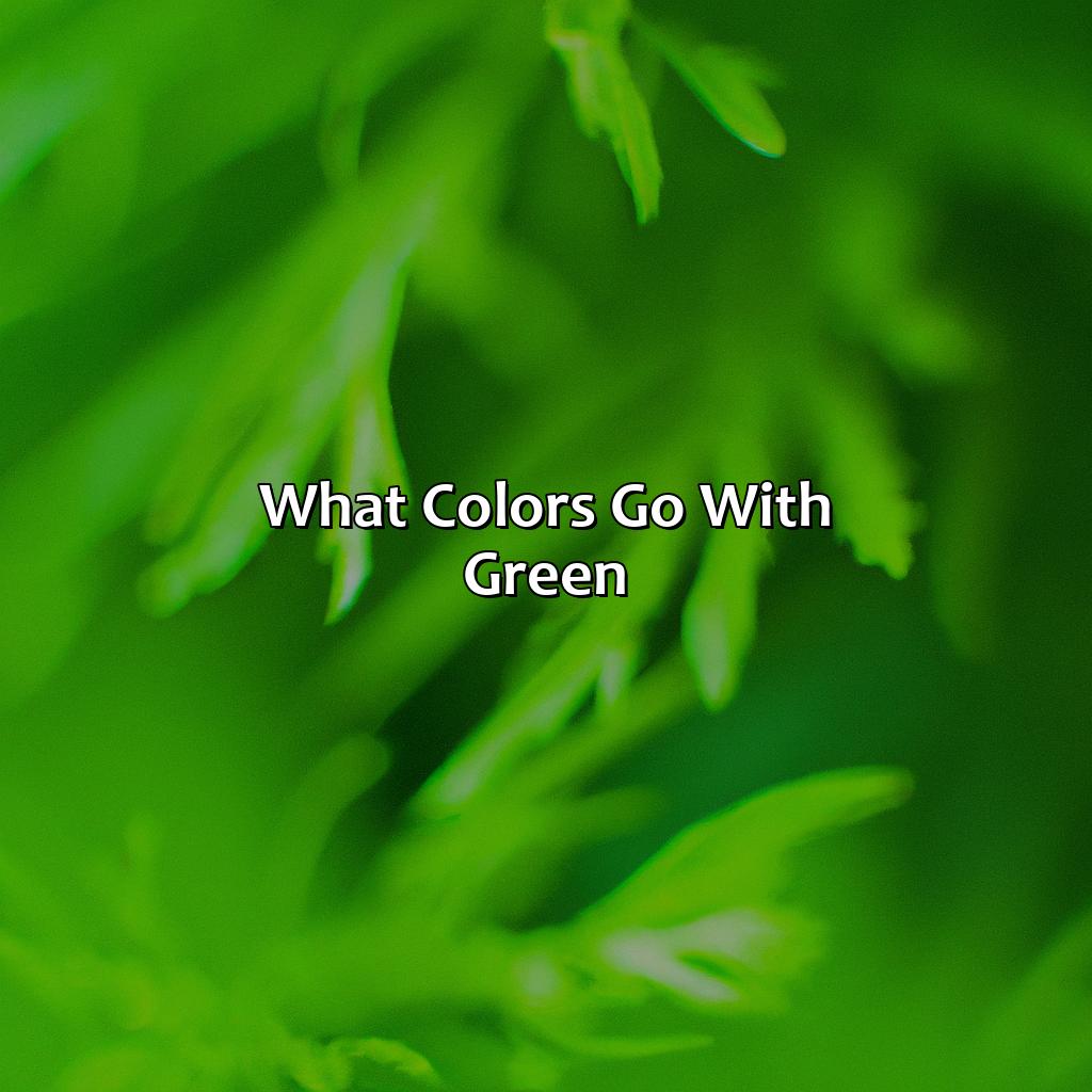 What Colors Go With Green - colorscombo.com