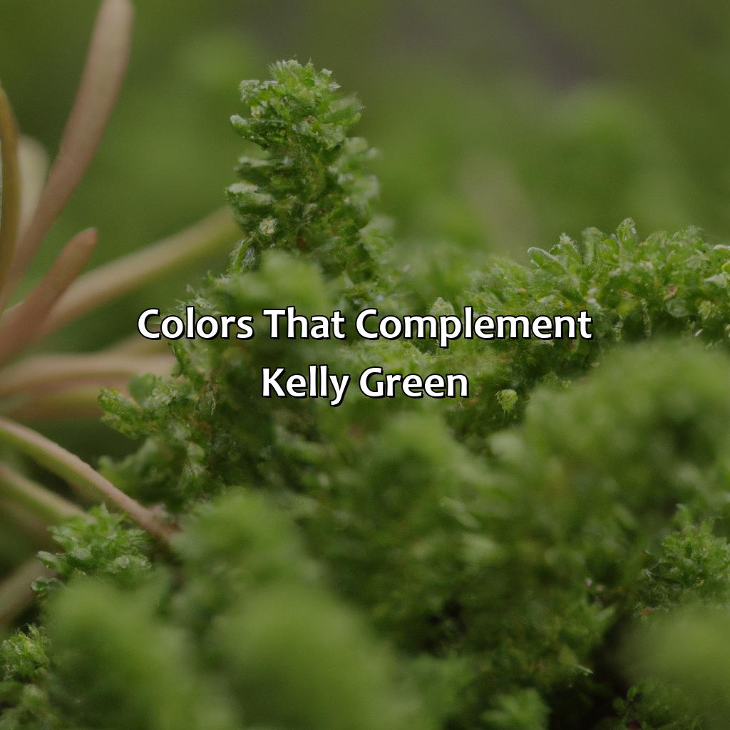 Colors That Complement Kelly Green  - What Colors Go With Kelly Green, 
