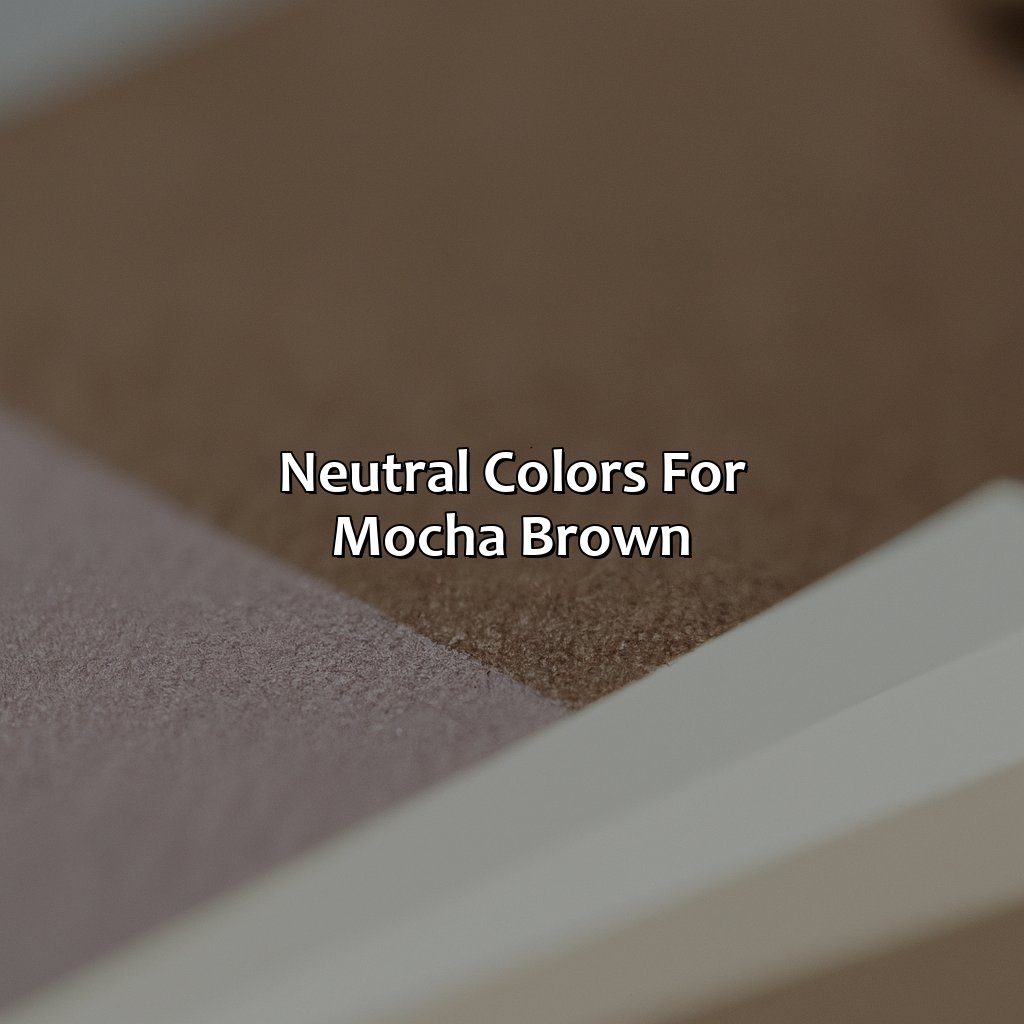 Neutral Colors For Mocha Brown  - What Colors Go With Mocha Brown, 