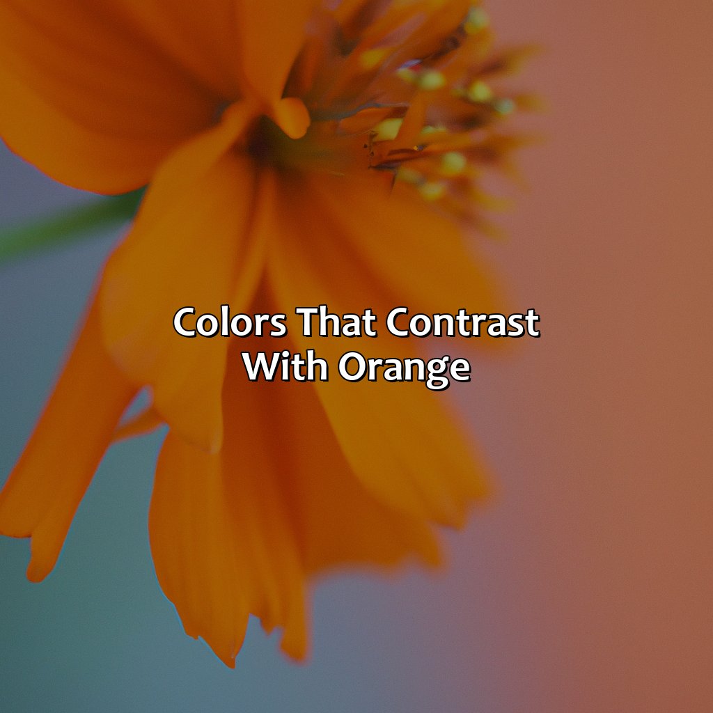 Colors That Contrast With Orange  - What Colors Go With Orange, 