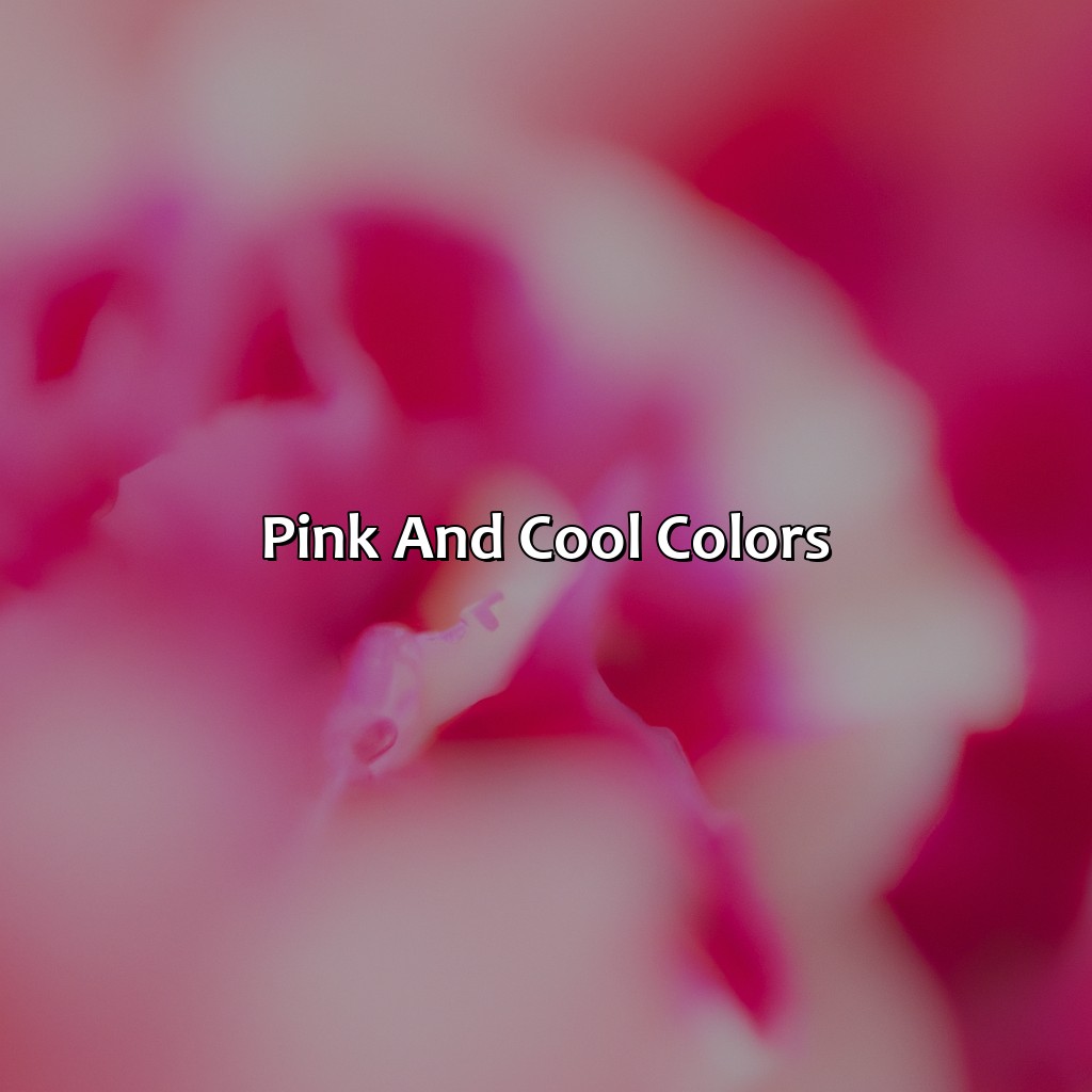 Pink And Cool Colors  - What Colors Go With Pink, 