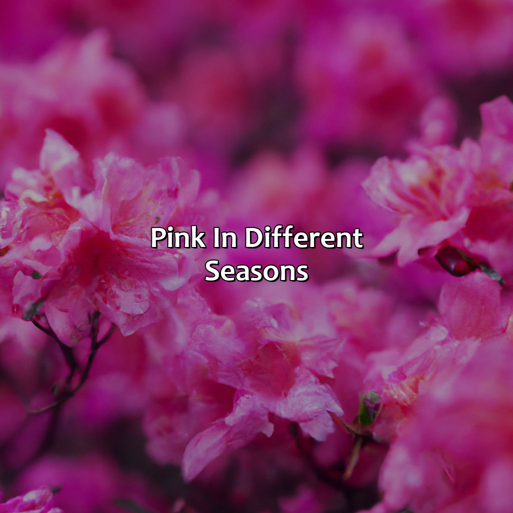 Pink In Different Seasons  - What Colors Go With Pink, 