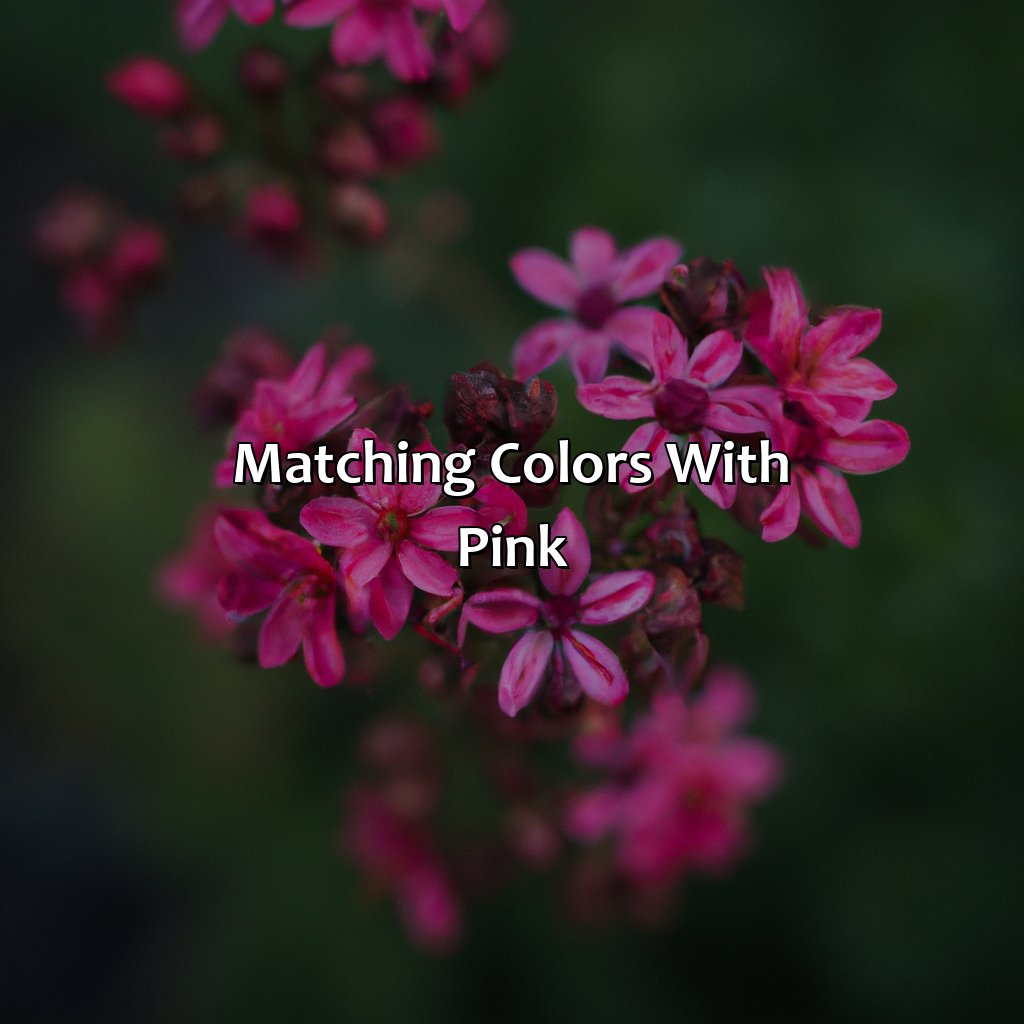 Matching Colors With Pink  - What Colors Go With Pink, 