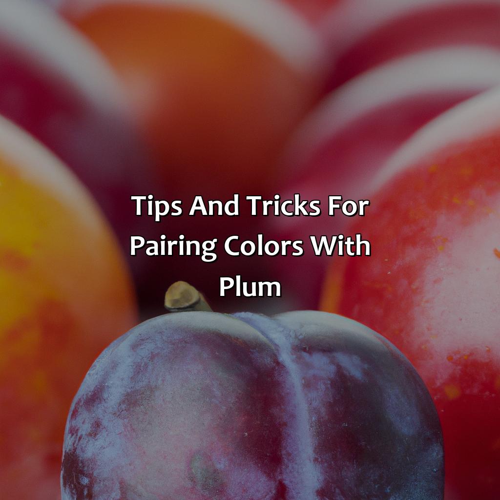 Tips And Tricks For Pairing Colors With Plum  - What Colors Go With Plum Purple, 