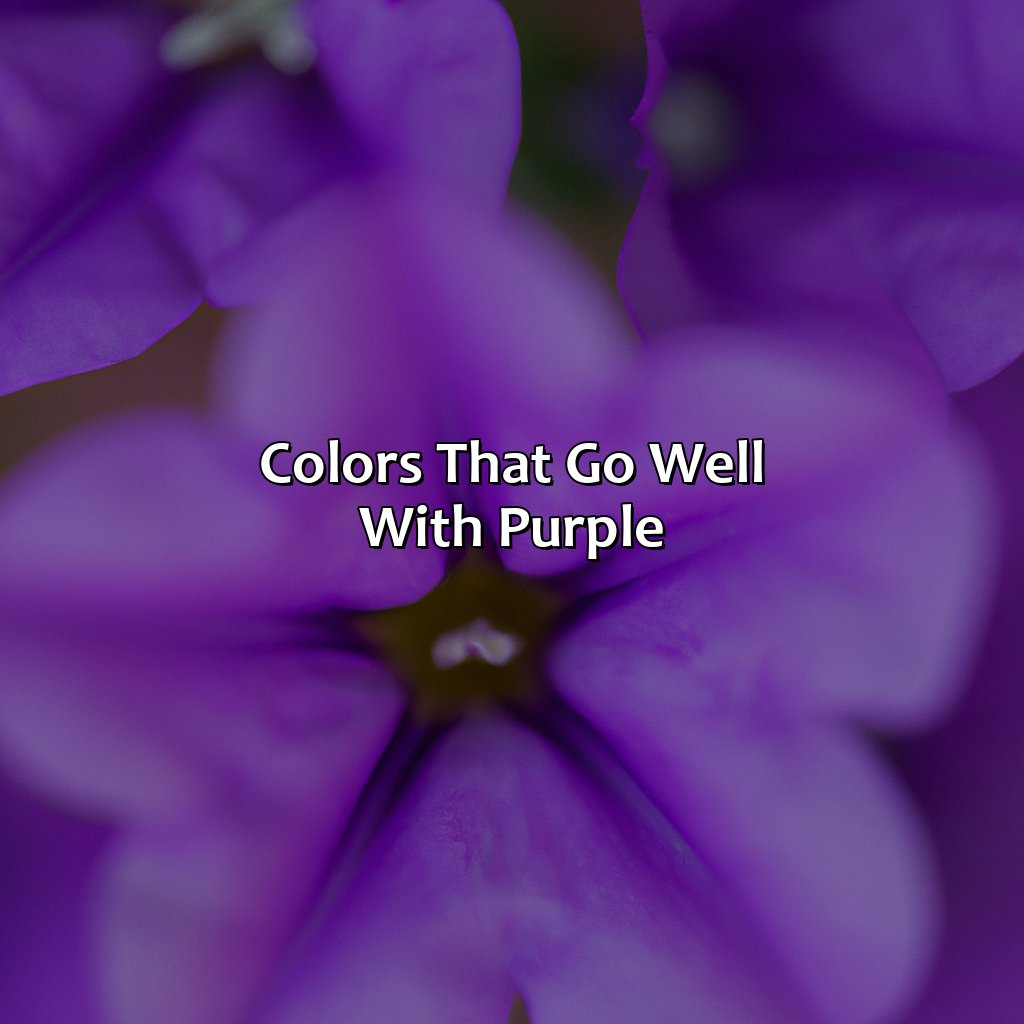 Colors That Go Well With Purple  - What Colors Go With Purple, 