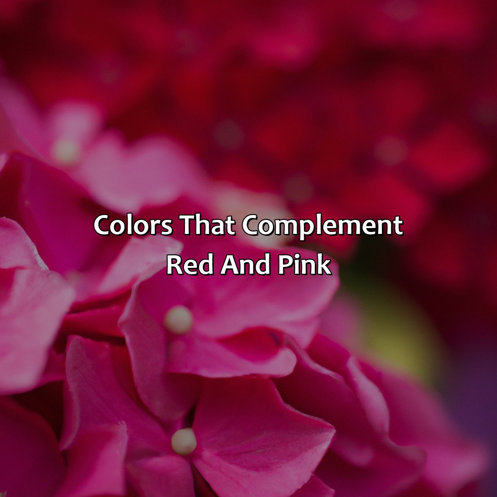 Colors That Complement Red And Pink  - What Colors Go With Red And Pink, 