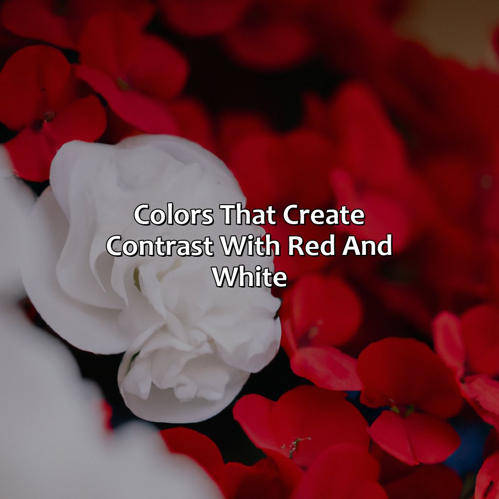 Colors That Create Contrast With Red And White  - What Colors Go With Red And White, 