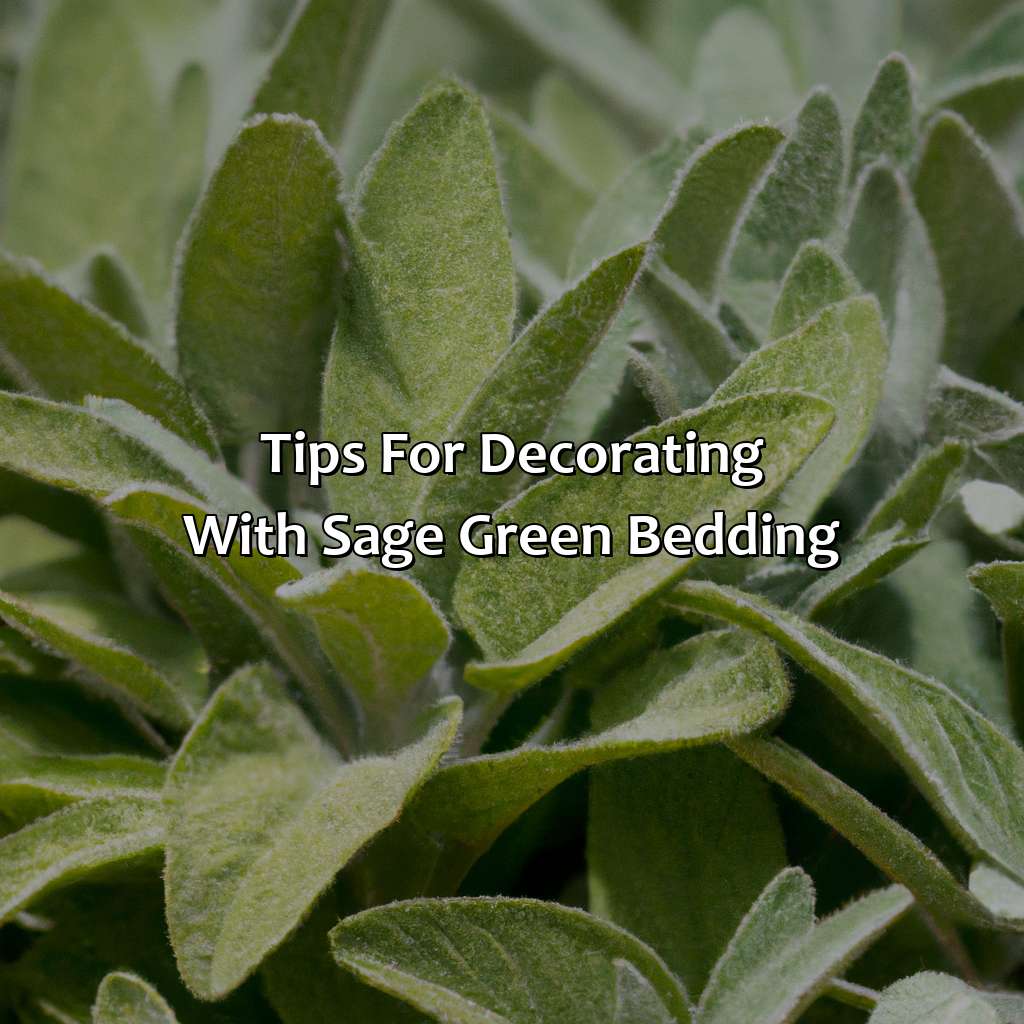 Tips For Decorating With Sage Green Bedding  - What Colors Go With Sage Green Bedding, 