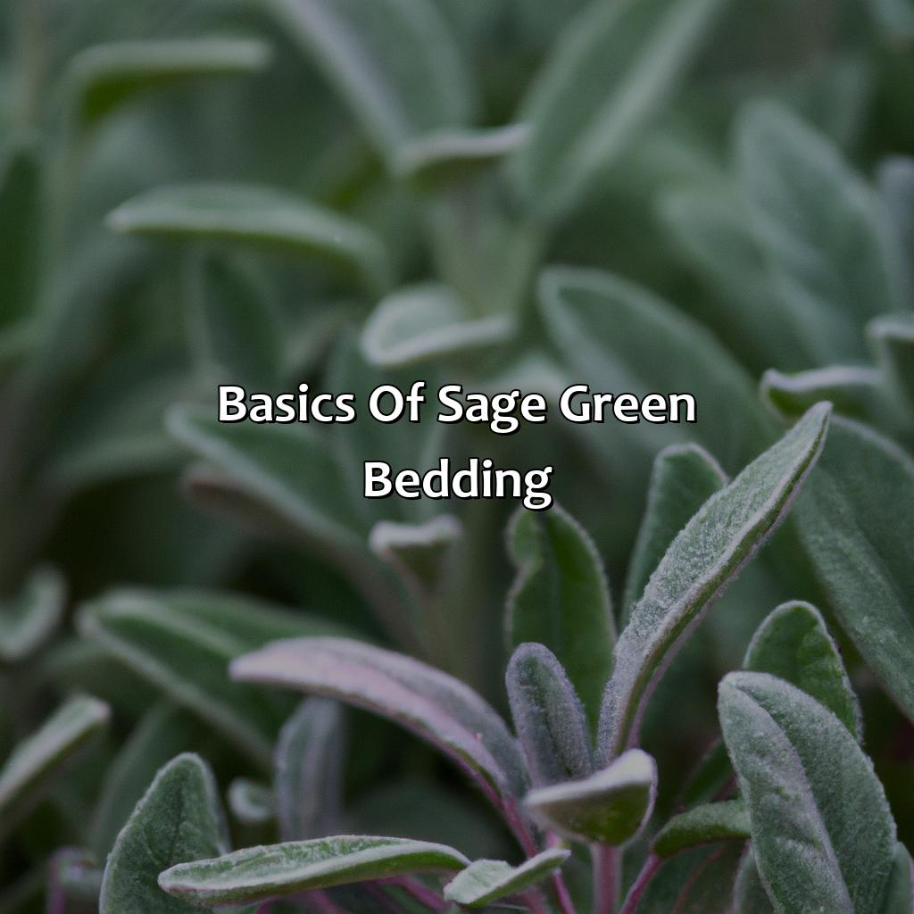 Basics Of Sage Green Bedding  - What Colors Go With Sage Green Bedding, 