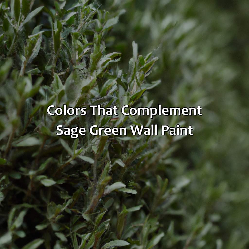 Colors That Complement Sage Green Wall Paint  - What Colors Go With Sage Green Wall Paint, 