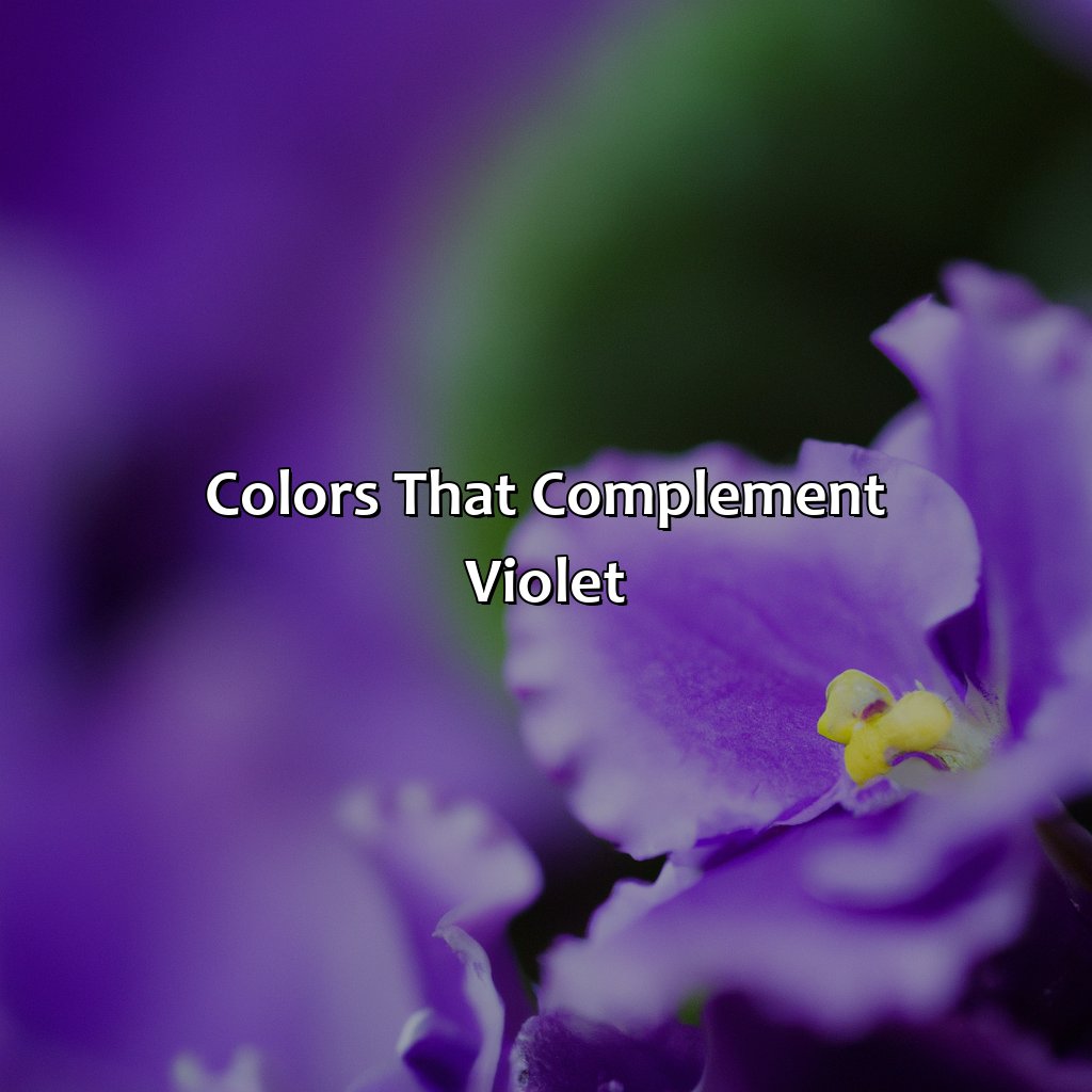 Colors That Complement Violet  - What Colors Go With Violet, 
