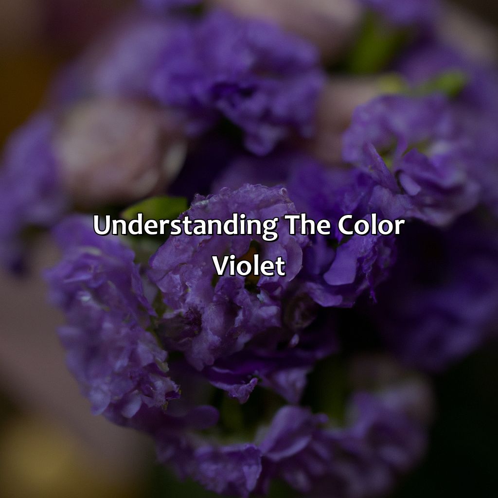 Understanding The Color Violet  - What Colors Go With Violet, 