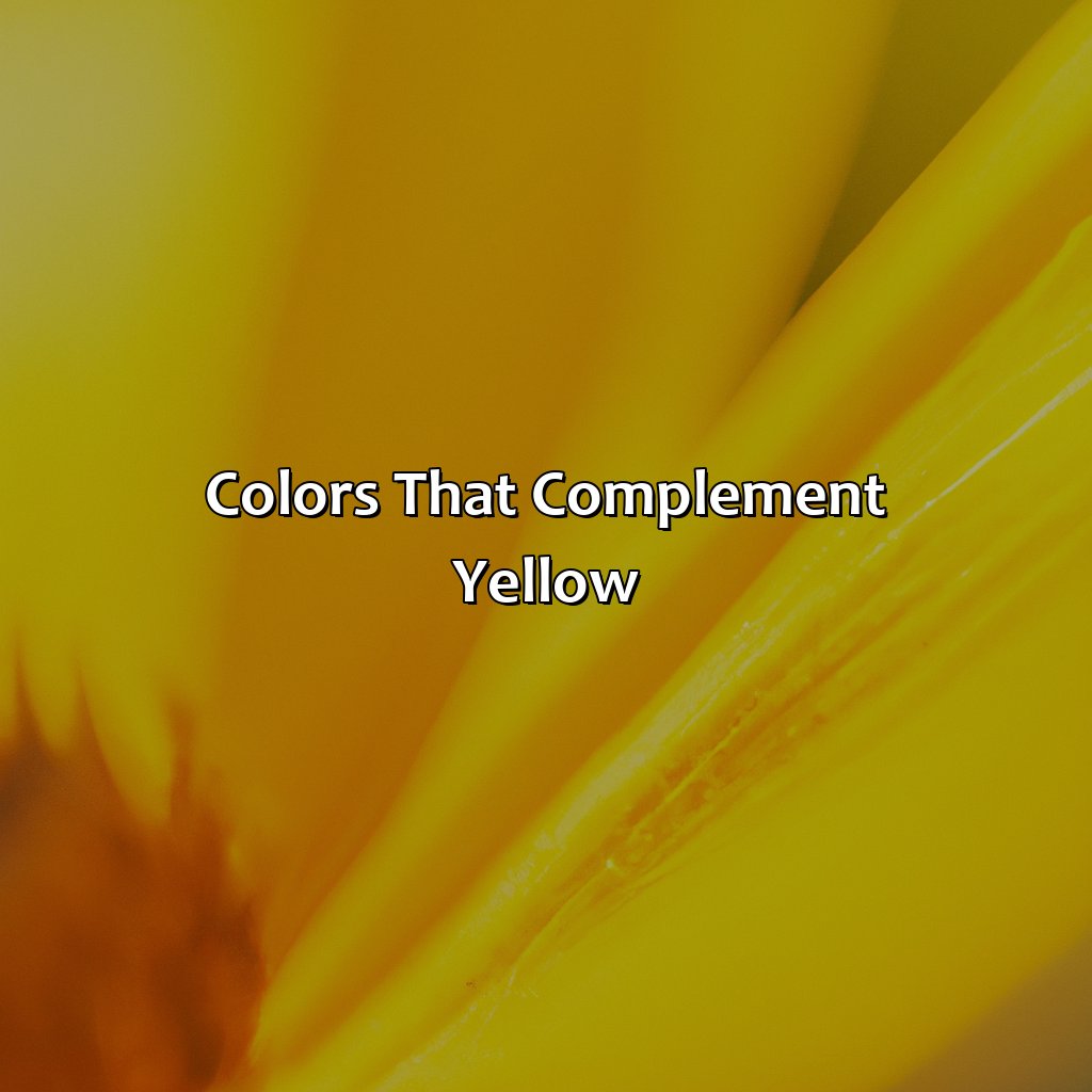 Colors That Complement Yellow  - What Colors Go With Yellow, 