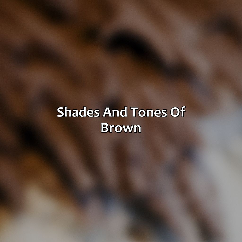 Shades And Tones Of Brown  - What Colors Make The Color Brown, 