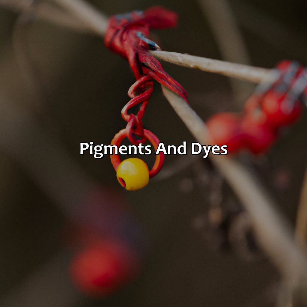 Pigments And Dyes  - What Determines The Color Of An Object, 