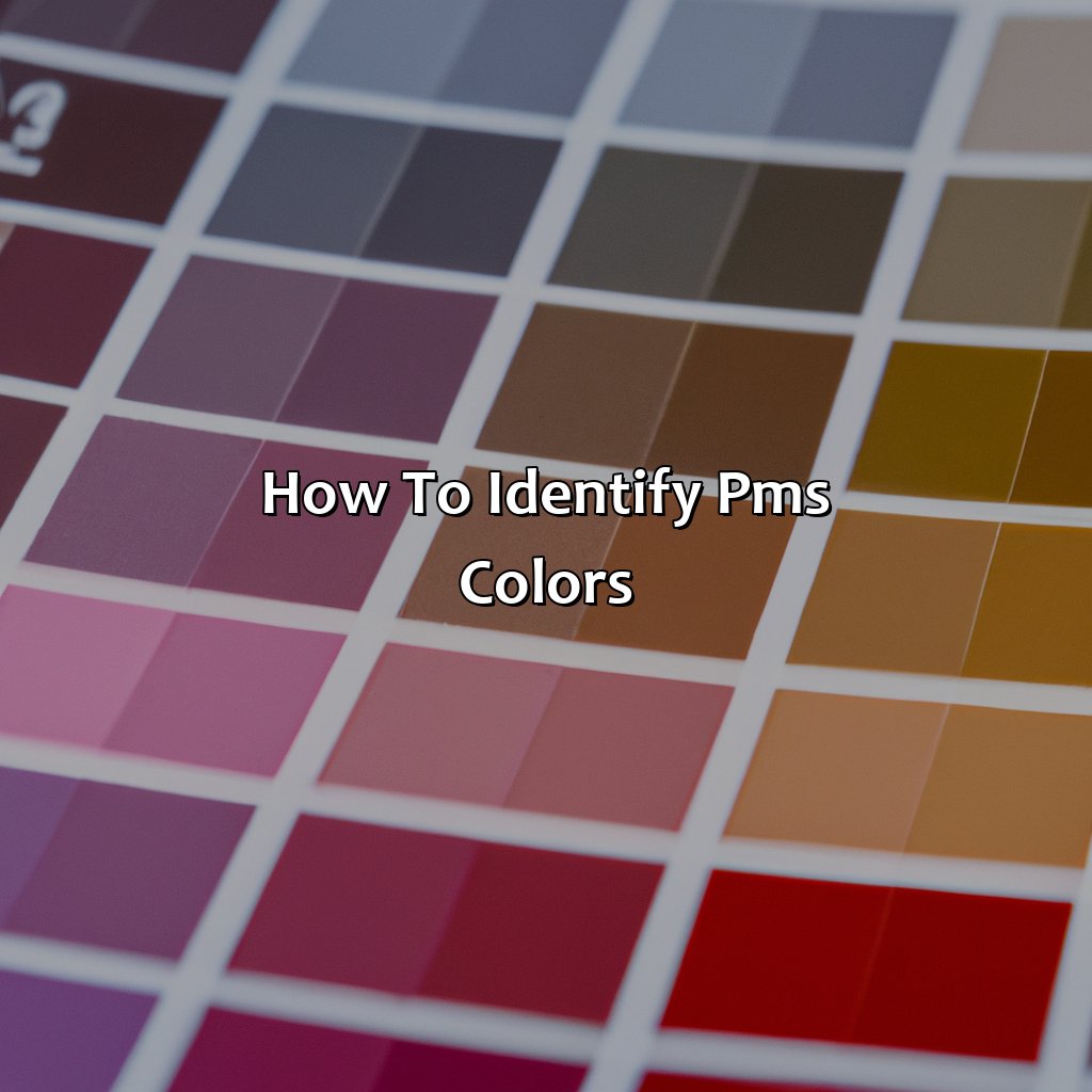How To Identify Pms Colors  - What Does Pms Color Stand For, 
