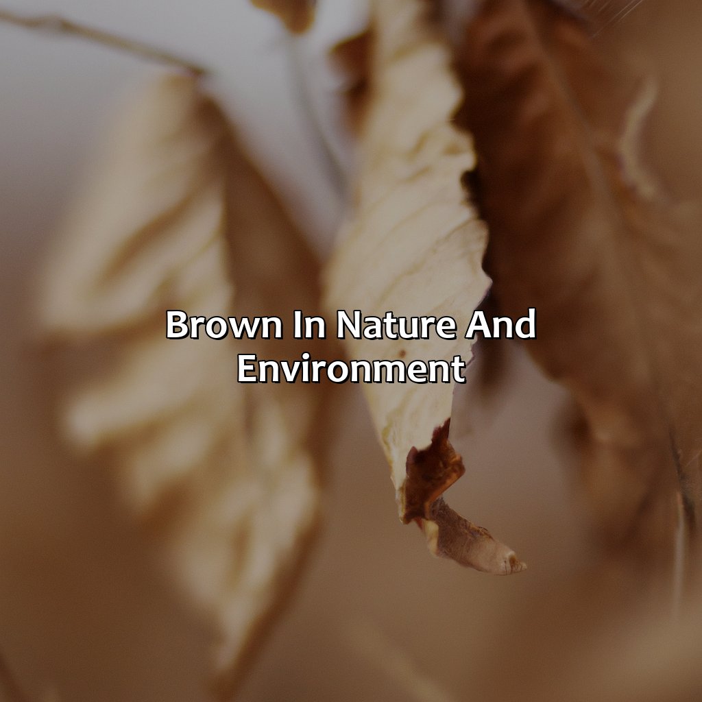 Brown In Nature And Environment  - What Does The Color Brown Mean, 