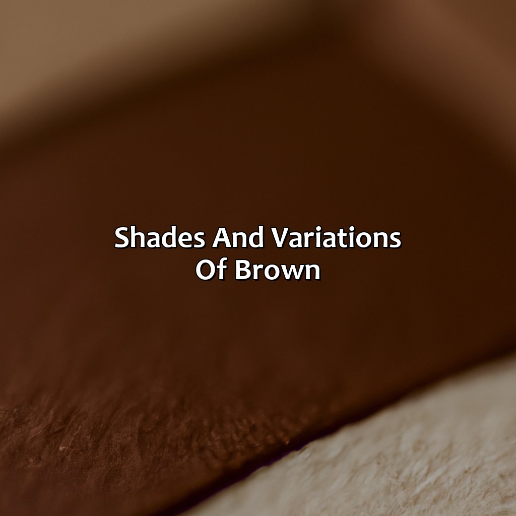 Shades And Variations Of Brown  - What Does The Color Brown Mean, 