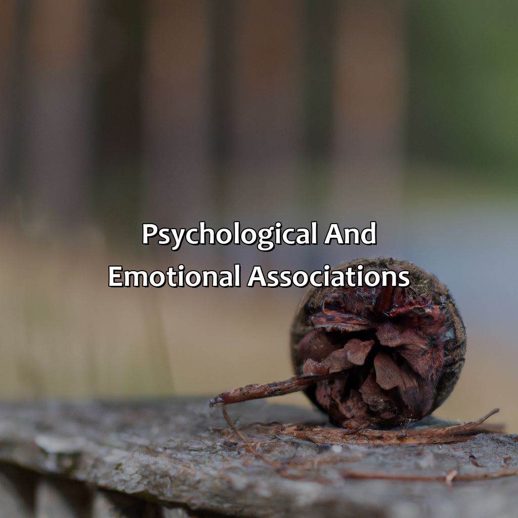 Psychological And Emotional Associations  - What Does The Color Brown Represent, 