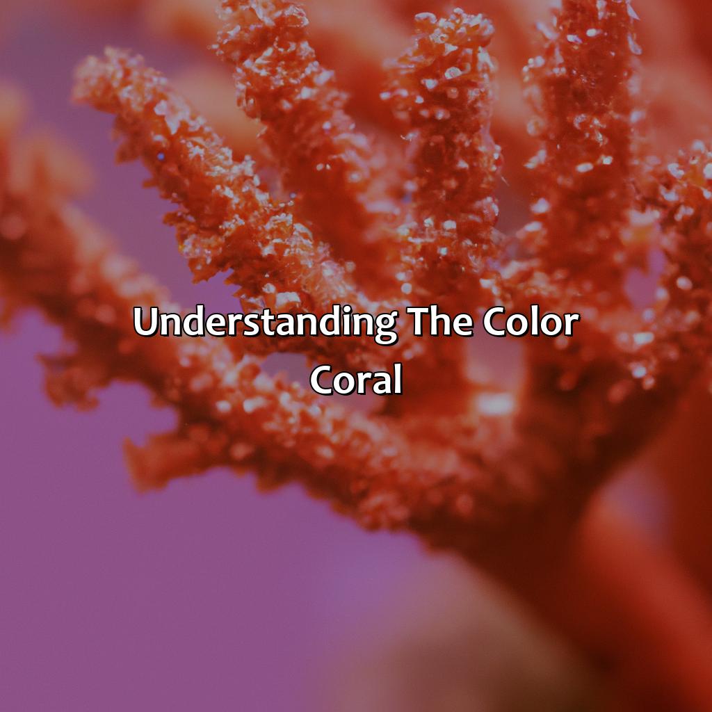 Understanding The Color Coral  - What Does The Color Coral Look Like, 