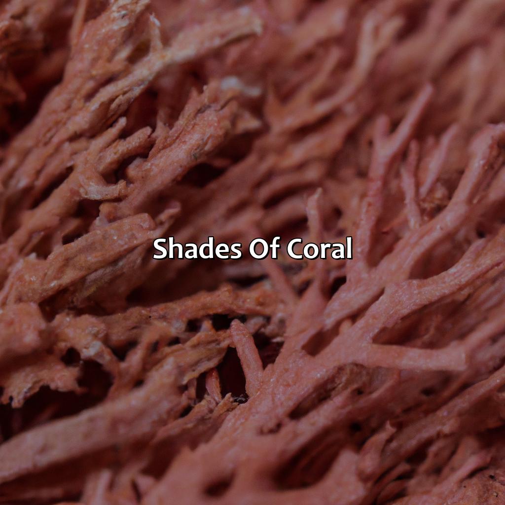 Shades Of Coral  - What Does The Color Coral Look Like, 