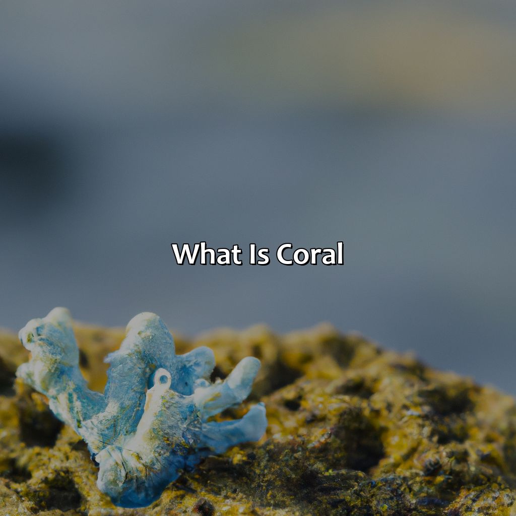 What Is Coral?  - What Does The Color Coral Look Like, 