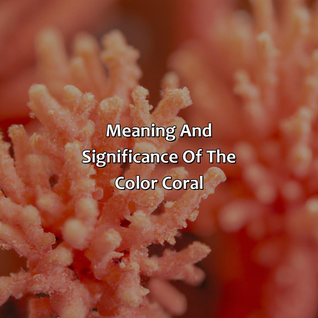 Meaning And Significance Of The Color Coral  - What Does The Color Coral Mean, 