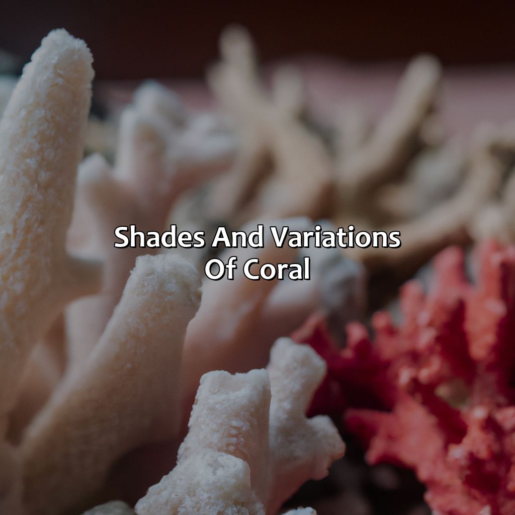 Shades And Variations Of Coral  - What Does The Color Coral Mean, 