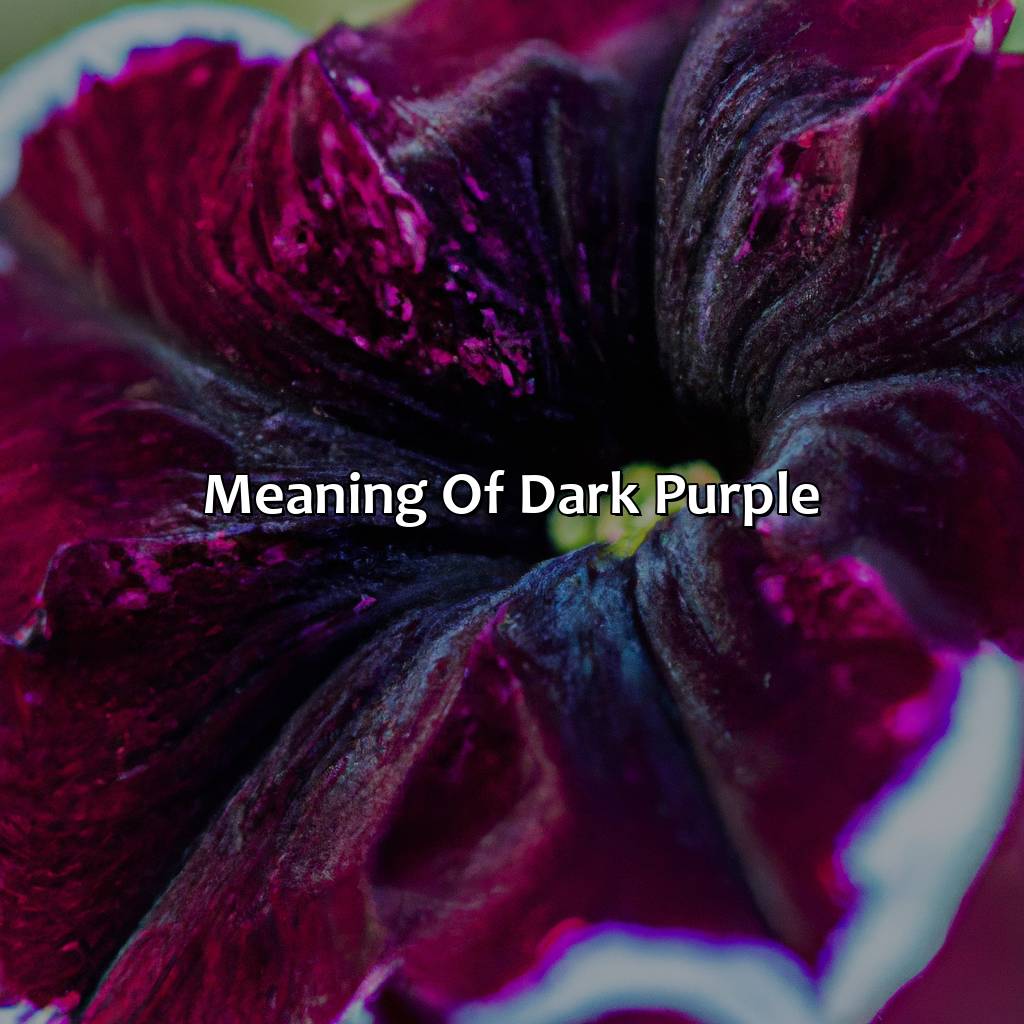 Meaning Of Dark Purple  - What Does The Color Dark Purple Mean, 