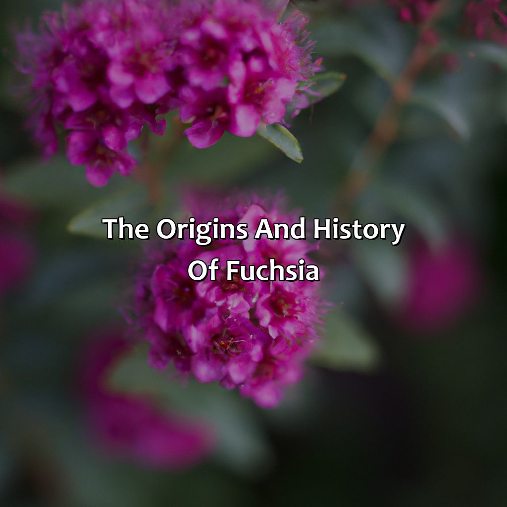 The Origins And History Of Fuchsia  - What Does The Color Fuchsia Look Like, 