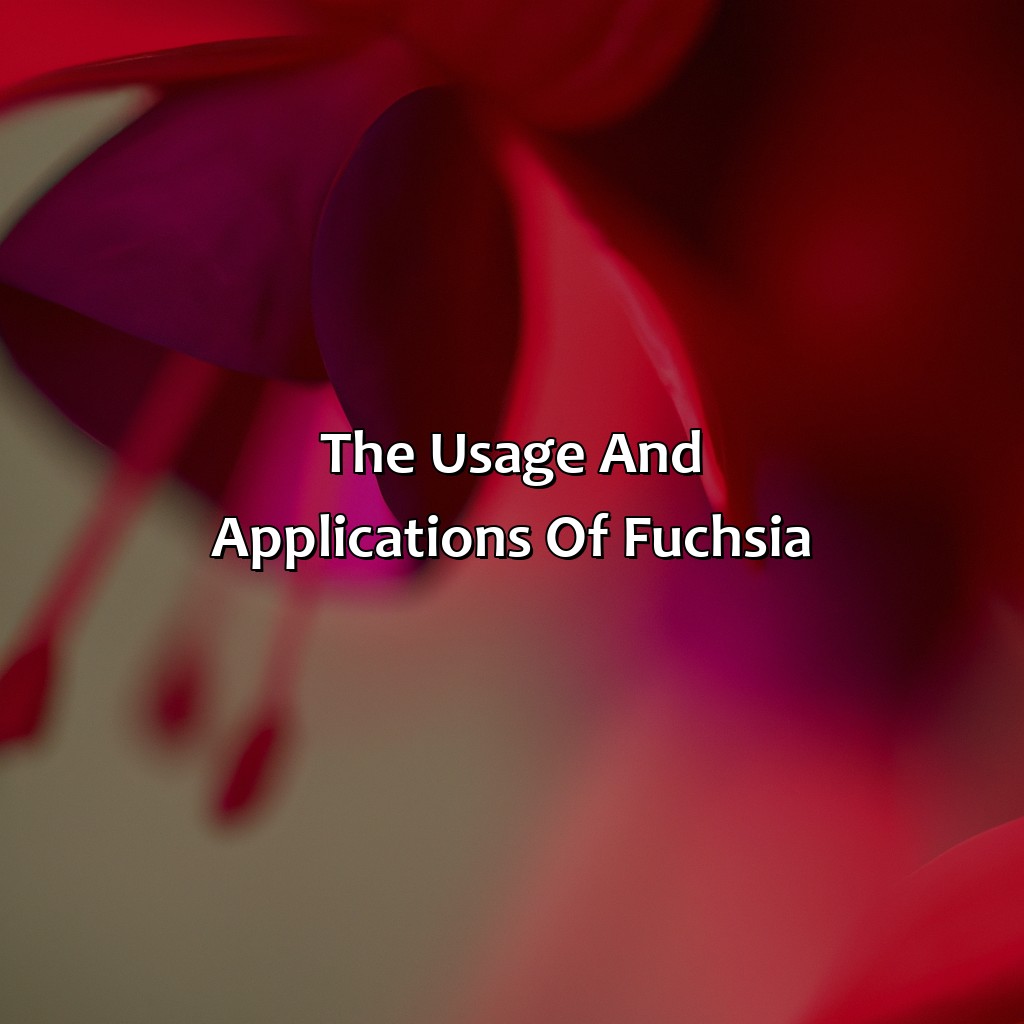 The Usage And Applications Of Fuchsia  - What Does The Color Fuchsia Look Like, 